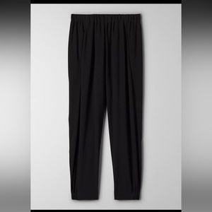 Aritzia Babaton Dexter Jogger